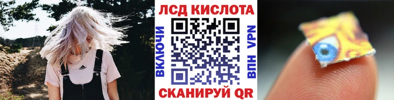 где продают   Дмитриев  KRAKEN   Марки N-bome 1,5мг 